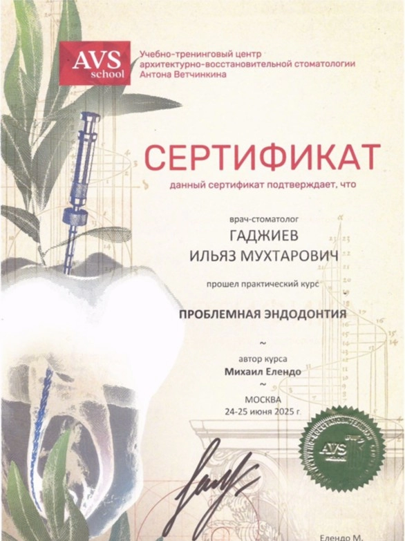 Гаджиев И. М. Сертификат ПРОБЛЕМНАЯ ЭНДОДОНТИЯ